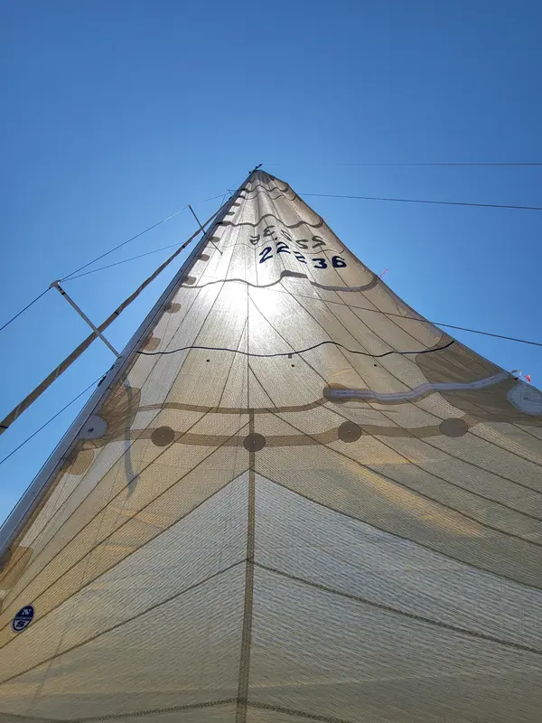 Looking up at a cream coloured headsail with sail number 22236 against a clear blue sky